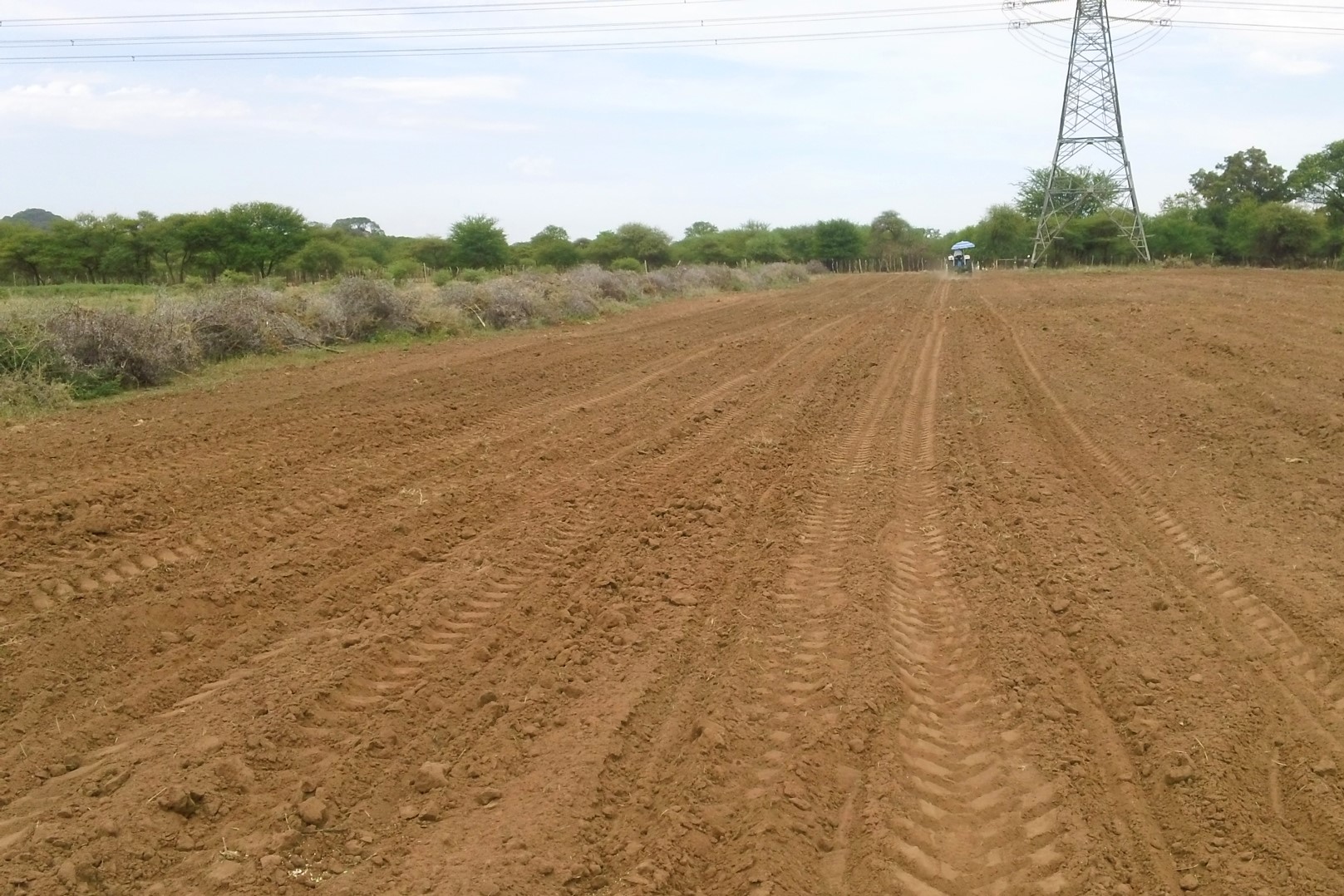 Cogent Farm's first field is plowed